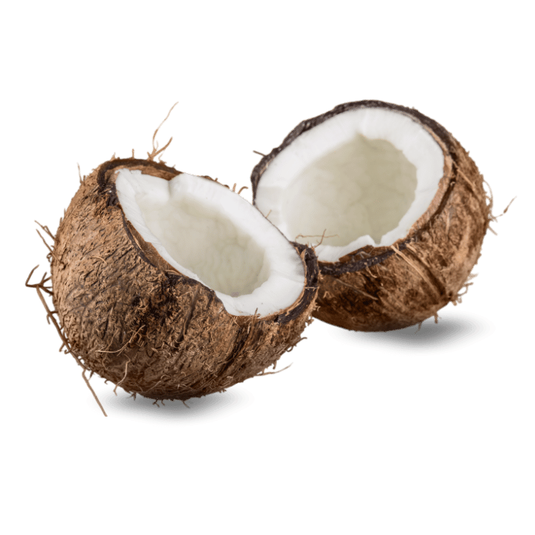 Dry Coconut