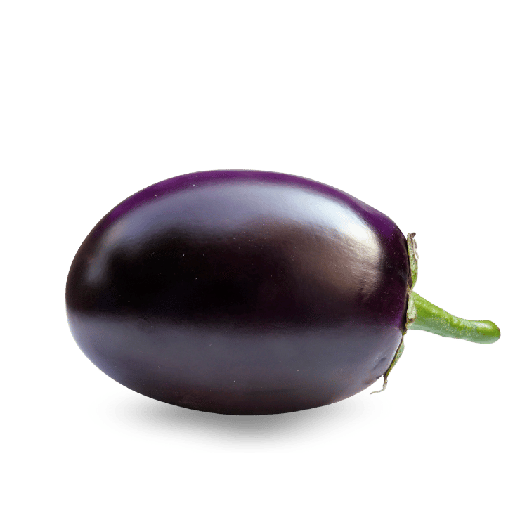 Brinjal - बैंगन