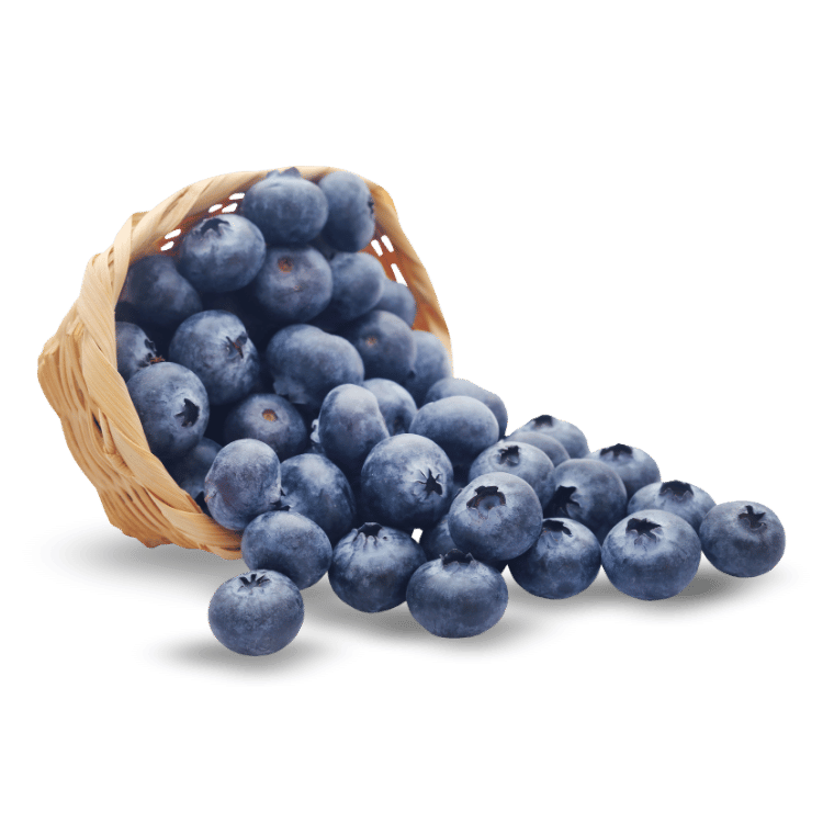 Blueberry - नीलबदरी