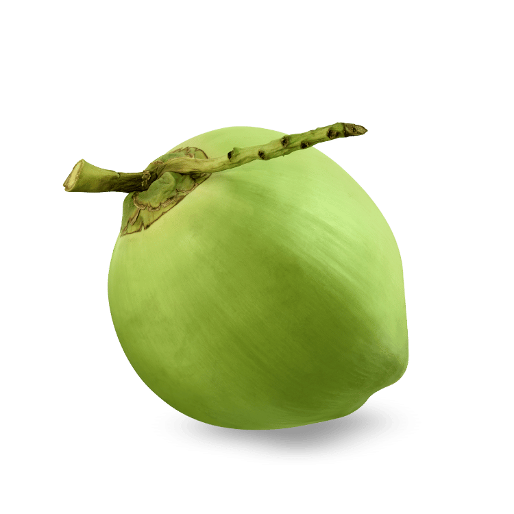 Daab Green Coconut -दाब हरा नारियल