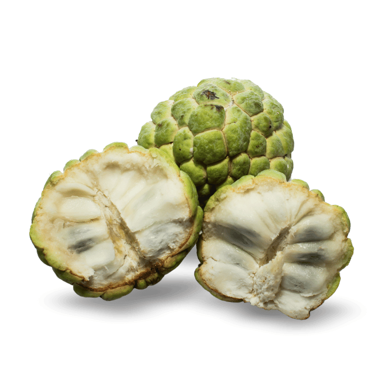Custard Apple - सीताफल