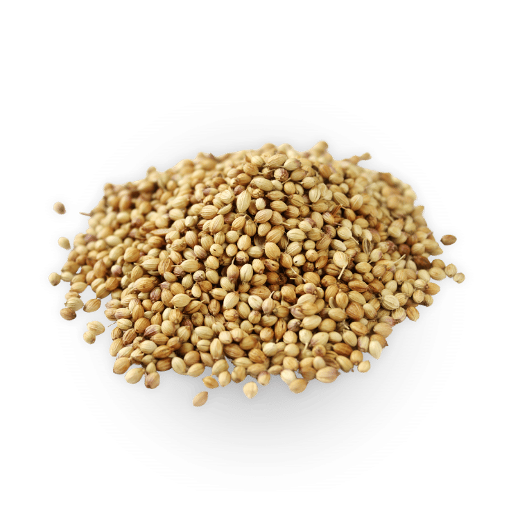 Coriander(Dhaniya)