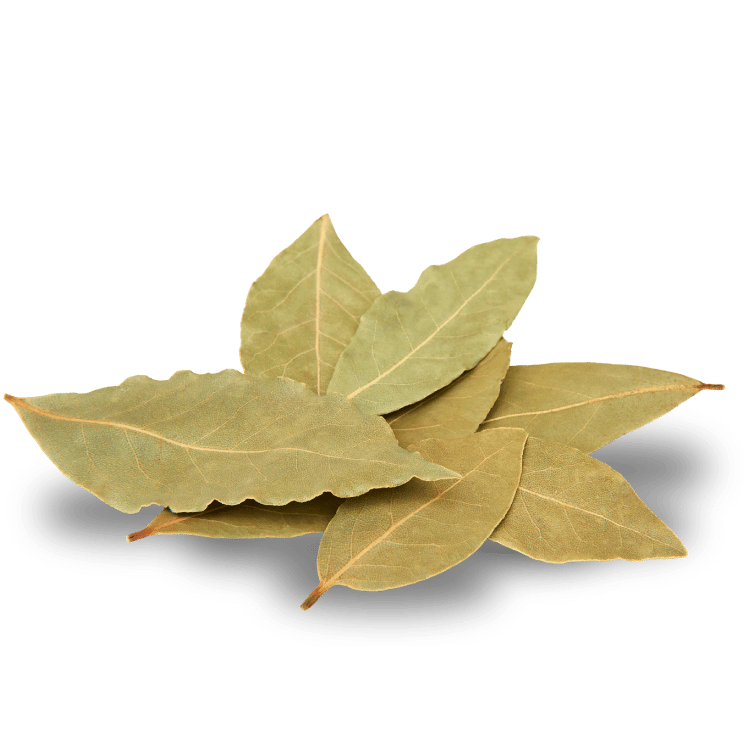 Bay Leaf(Tejpatta)