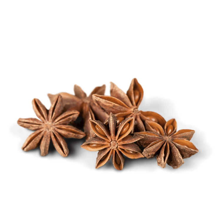 Star Anise(Chakr phool)